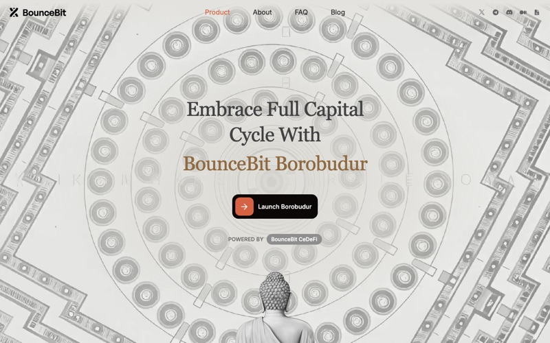 Screenshot of BounceBit